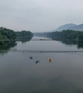 Suspension bridge view